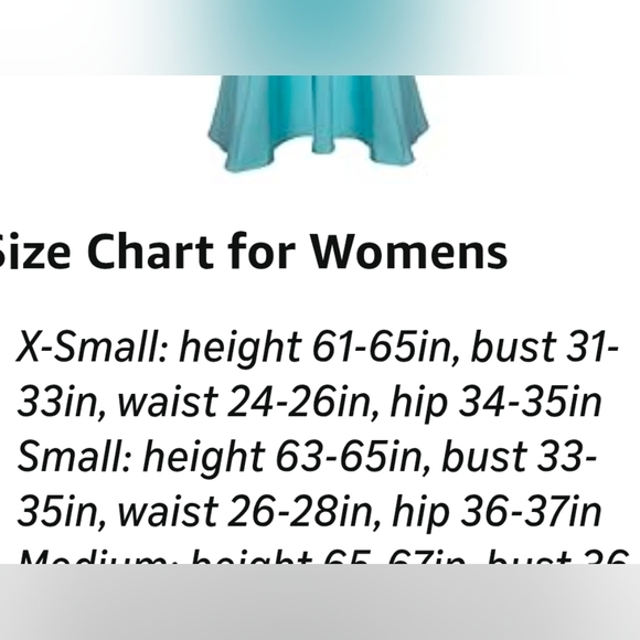 Wendy Dress Costume - Picture 8 of 8